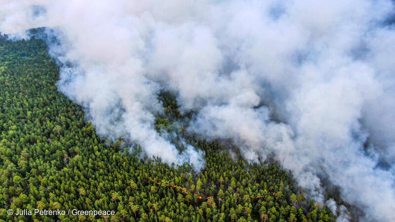 Greenpeace's tweet photo. .@greenpeaceru have just captured these tragic images of #Siberia's raging forest fires. 

The total area burnt by #wildfires in Russia in 2020 has reached 19M has – an area bigger than Greece. 

More: https://t.co/7XS5Pz0pJB

#ClimateEmergency #ForestsAreLife https://t.co/TtmsDshH65
