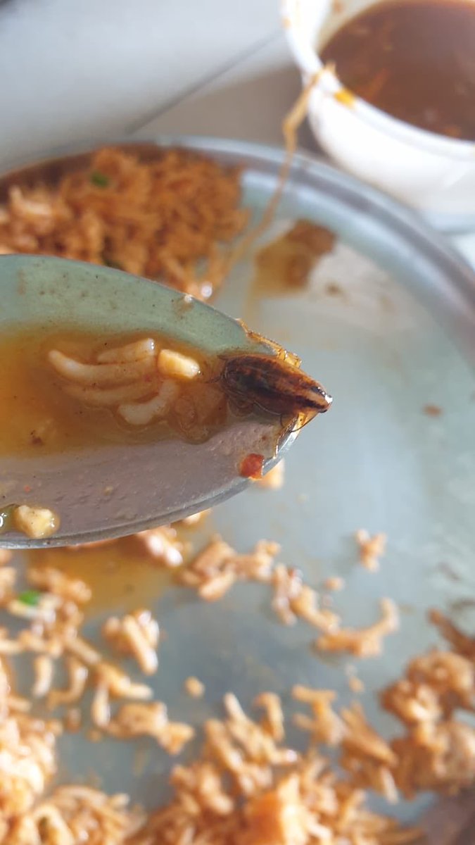 tkay1994's tweet photo. A friend of mine ordered food for me from zomato and there were cockroaches in the gravy. 
I tried to contact @ZomatoIN but there’s no response 
@fssaiindia please look into this. 
#unsafefood #zomato #unsafe https://t.co/W6AE1IJiib