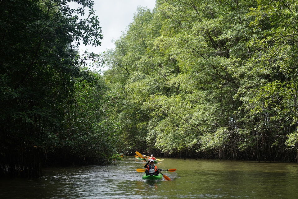 Bienvenue au pays de la "pura vida" !🍍
Le #Costa Rica, un territoire couvert de forêts tropicales, protégé par une politique écologique exemplaire. Par équipe de 2 ou de 3, partez à la découverte du #CostaRica ! 🌴🗺️ #association #femmes

🌐 lasaharienne.fr/edition2020