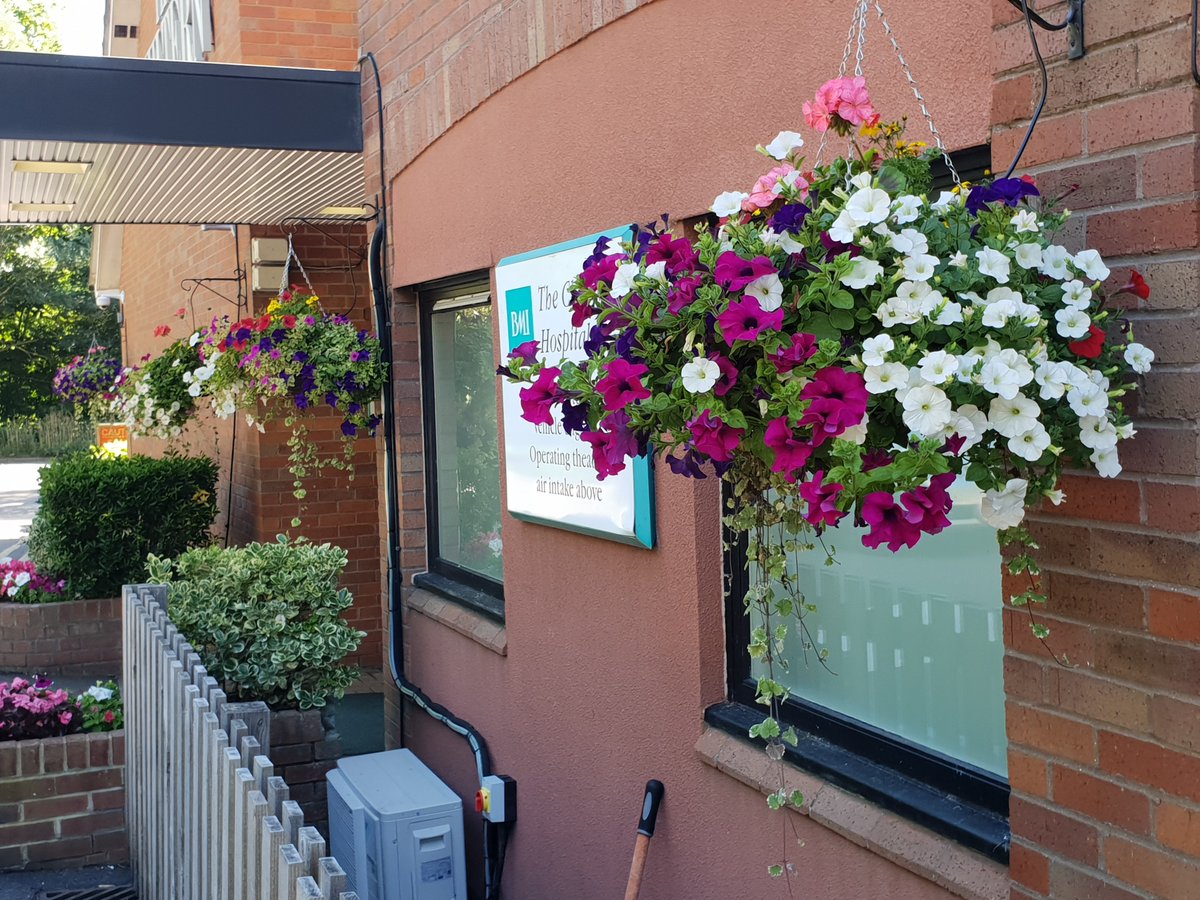 Olphin1's tweet photo. @GroundControlGC hanging baskets looking great today at @BMIHealthcare chiltern hospital. https://t.co/aXsRveAbQF