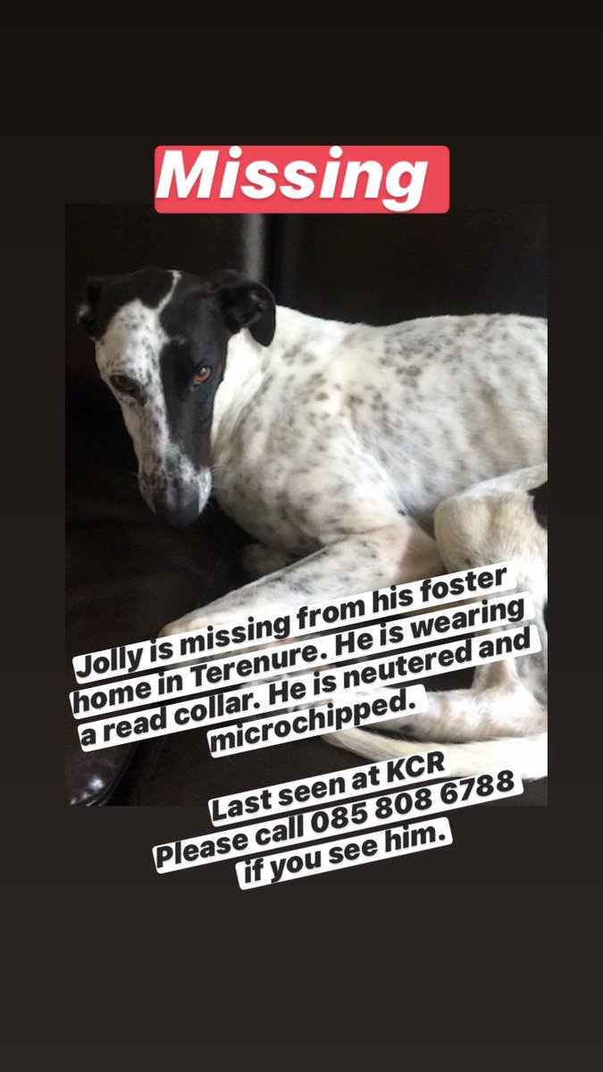 DublinSPCA's tweet photo. URGENT 

Please keep an eye for this Boy! https://t.co/t9yuWWLBWt