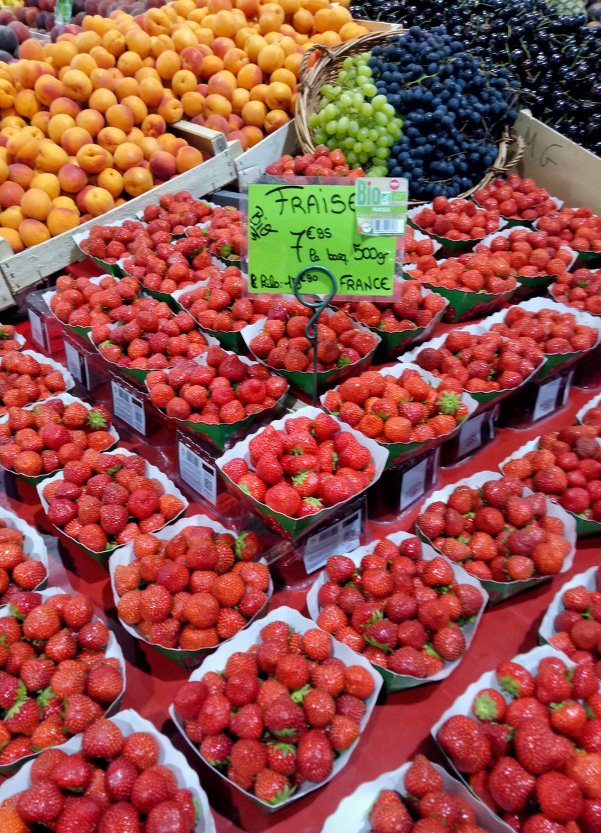 "In returning thro’ the Place Marché bought cherries pretty good at 4d per lb and as many strawberries such as we buy... in Paris for 6d as we pay her 1/ for – bought strawberries and cherries – got home about or soon after 11, and had boiled milk again with our fruit"