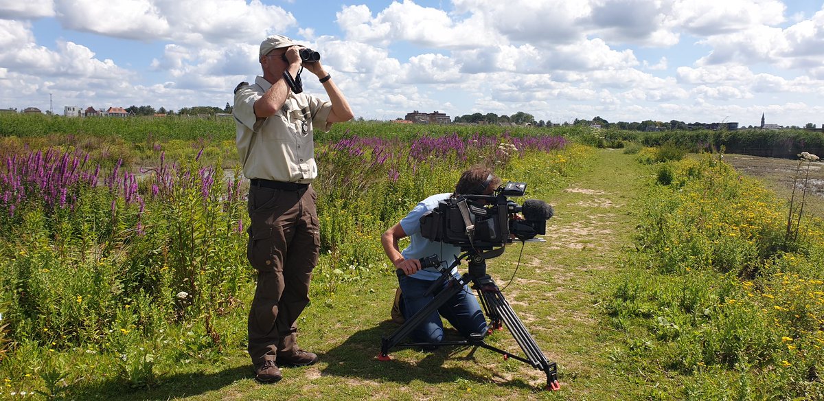iMoerm's tweet image. Ik klaag niet... In de Crezéepolder met @EdoPieper en Jan Alewijn Dijkhuizen van @ZHLandschap. Zie het resultaat straks in Welkom bij Rijnmond @RTV_Rijnmond