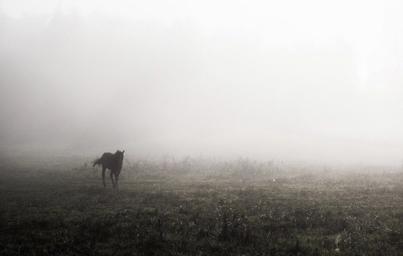 Ambientland (@ambientland1) on Twitter photo 