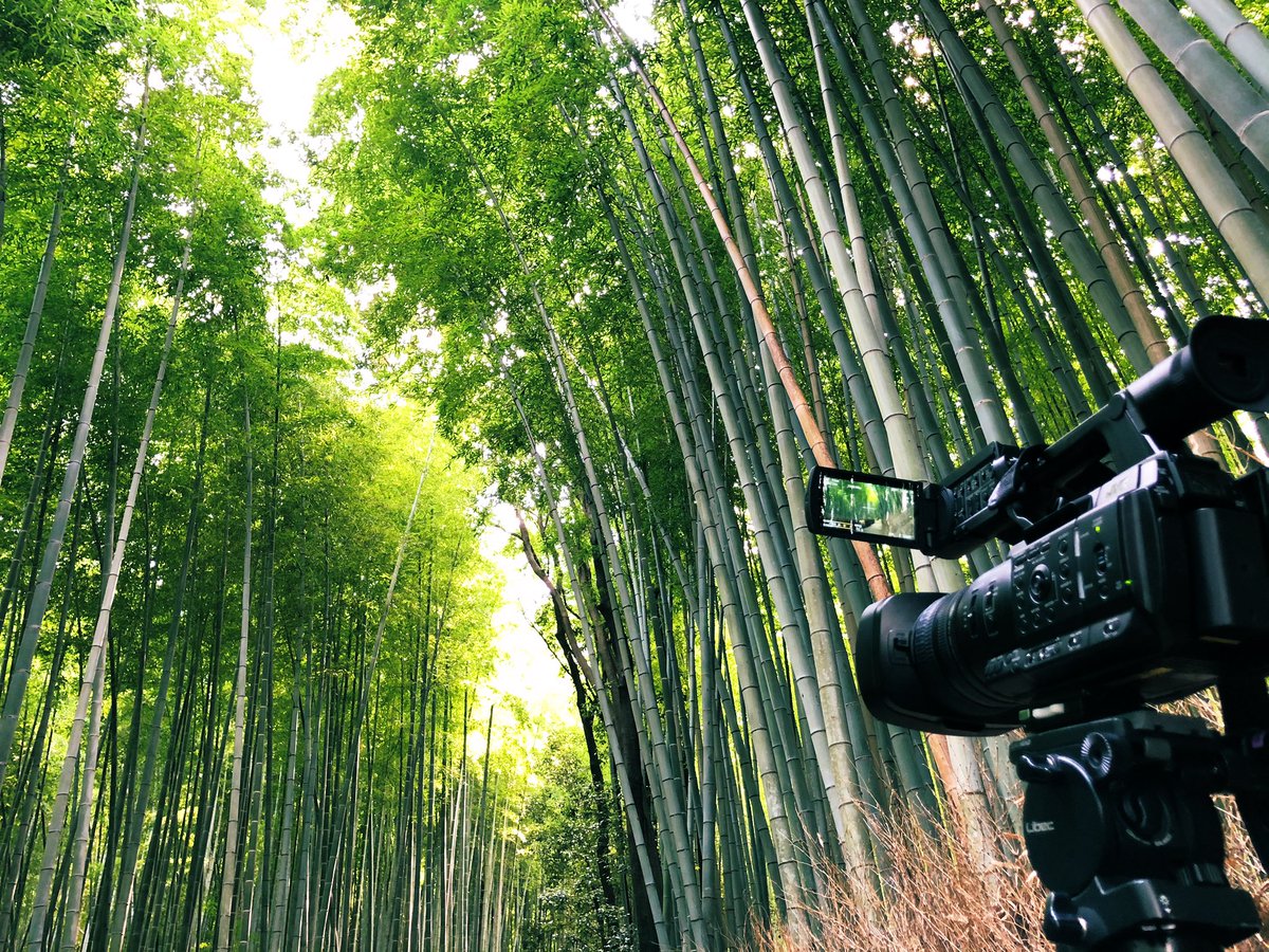 TimecodeLab's tweet photo. 本日は京都・嵐山へカメラテスト。
JVC の4K 60p カメラ GY-HC550を携えて撮影旅行？です。
いくつかの撮影条件を設定して、ProRes422コーデックでサンプルカットを収録。
ラボに帰ったら、じっくりと画質チェックです。
#嵐山 #HC550 #ProRes #4K
#観光客が日本人ばかり https://t.co/3W20ghLhQK