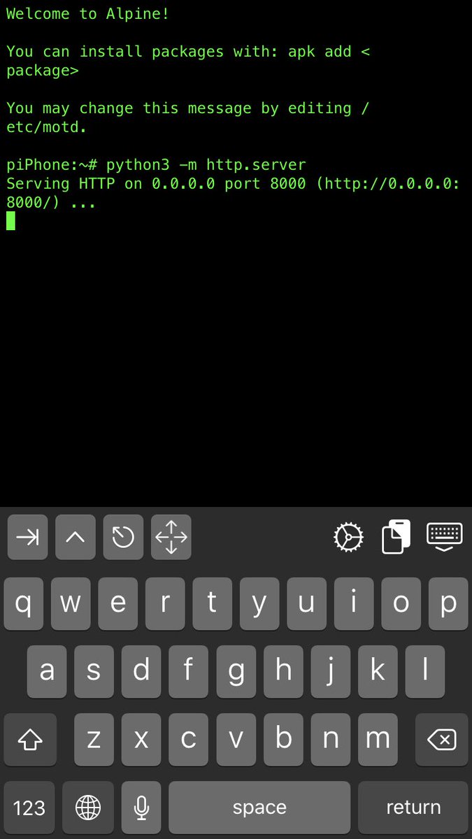 hallazzang's tweet photo. With #iSH app I get directory listing running in my iPhone. Mind blown. Looks like it is possible to build Golang binary inside it too! https://t.co/TPJ95tMfHp