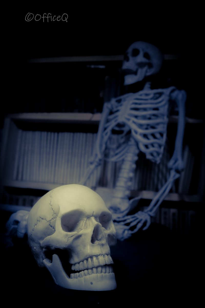 おふぃす きゅ 竹林整備祭開催中 Gw予約できますよ スタジオアイテム入荷情報 骸骨注意 廃墟スペースに合うアイテムを我が家にお招きしました 昔から金色骸骨キャラのワッハマンが大好きで それもあって 笑 金色のオリハルコン製ではないっす