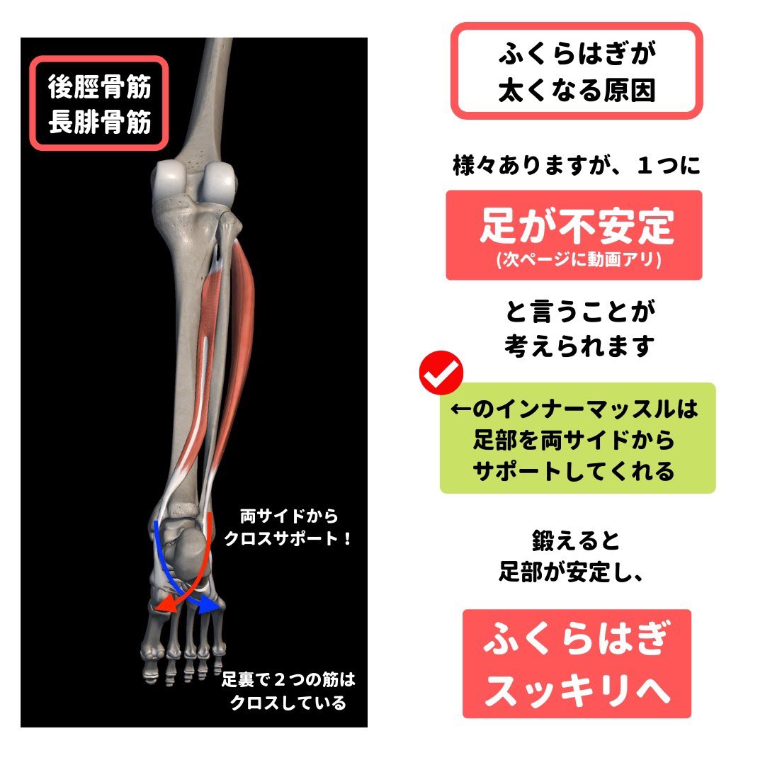 坂野晃太 オンライン栄養コンサルkalin ふくらはぎを細くする条件 ひざを曲げる カカトをまっすぐ上げ下げ ひざを曲げると 鍛えたくないふくらはぎの 外側 の筋肉は使われづらく 内側 の歩き方をキレイにするインナーだけが使われやすくなる 片膝