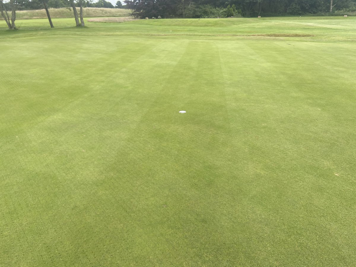 Greens over seeded with bent @wearegerminal , cut and then sprayed with 2nd @SymbioUK compost tea @StCuthbertGC today⛳️