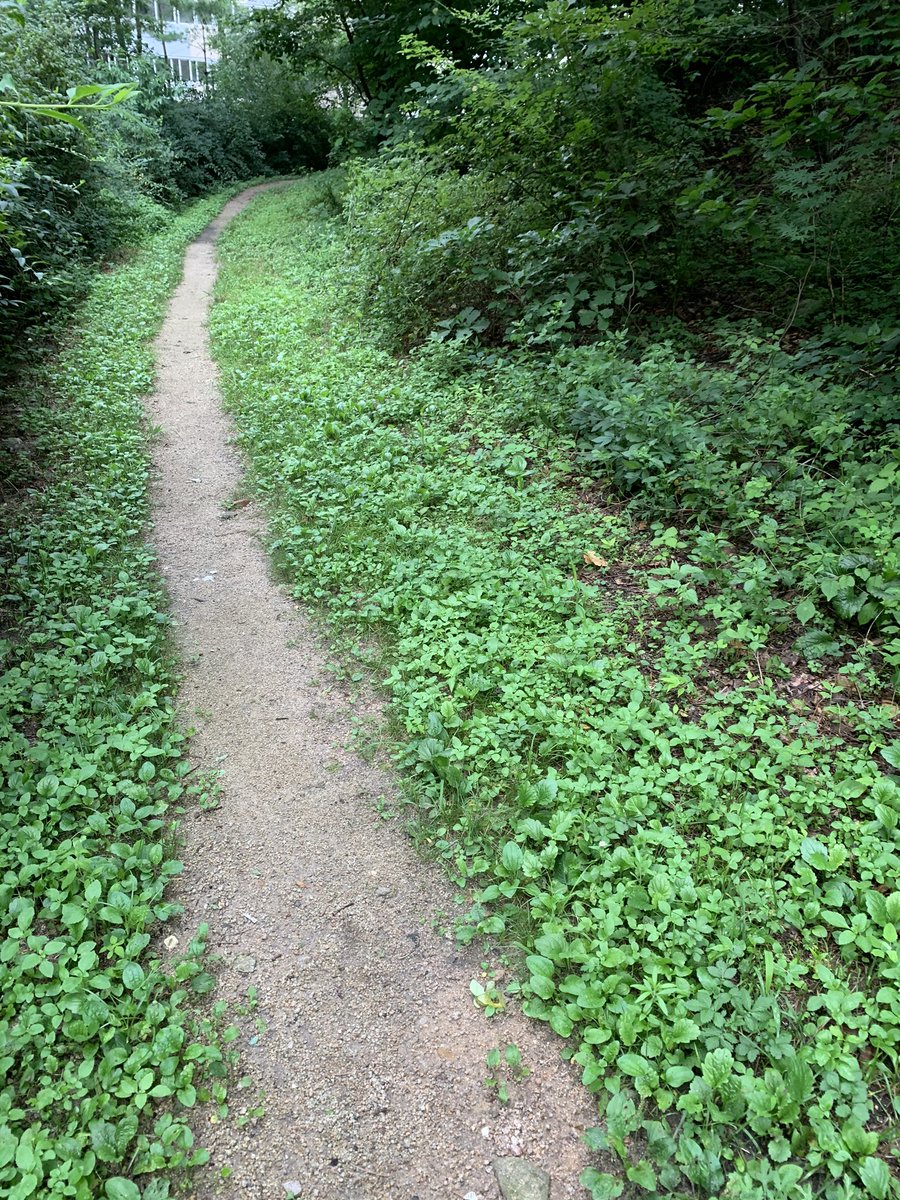 "그러나 너를 책망할 것이 있나니 너의 처음 사랑을 버렸느니라 
그러므로 어디서 떨어진 것을 생각하고 회개하여 처음 행위를 가지라
 만일 그리하지 아니하고 회개치 아니하면 내가 네게 임하여 네 촛대를 그 자리에서 옮기리라" (계 2:4-6