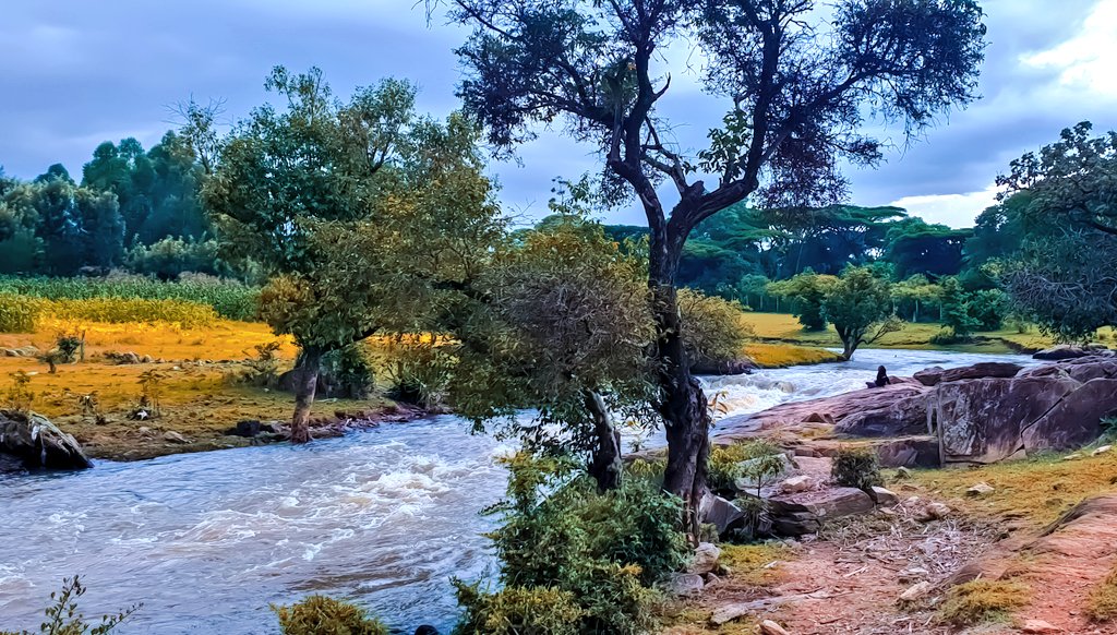 Next unplanned stop was at Chepkoilel River. I have driven by this river for years and never stopped. There is actually loads of spots where one can have a picnic, if you would like to make a rest stop here.