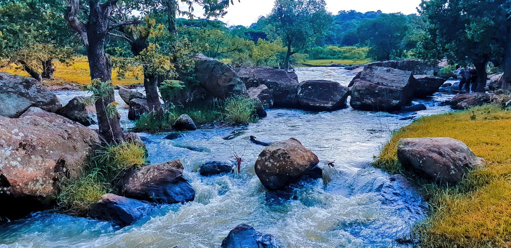 Next unplanned stop was at Chepkoilel River. I have driven by this river for years and never stopped. There is actually loads of spots where one can have a picnic, if you would like to make a rest stop here.