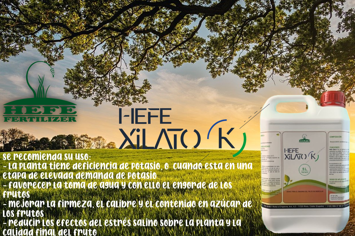 HefeFertilizer's tweet photo. 🔥🔥Carboxilato de potasio engorda el fruto y favorece la asimilación del calcio y el magnesio🔥🔥 https://t.co/NUsShGZCNa