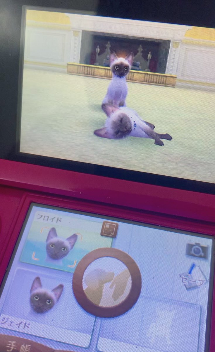 ニンテンドックス