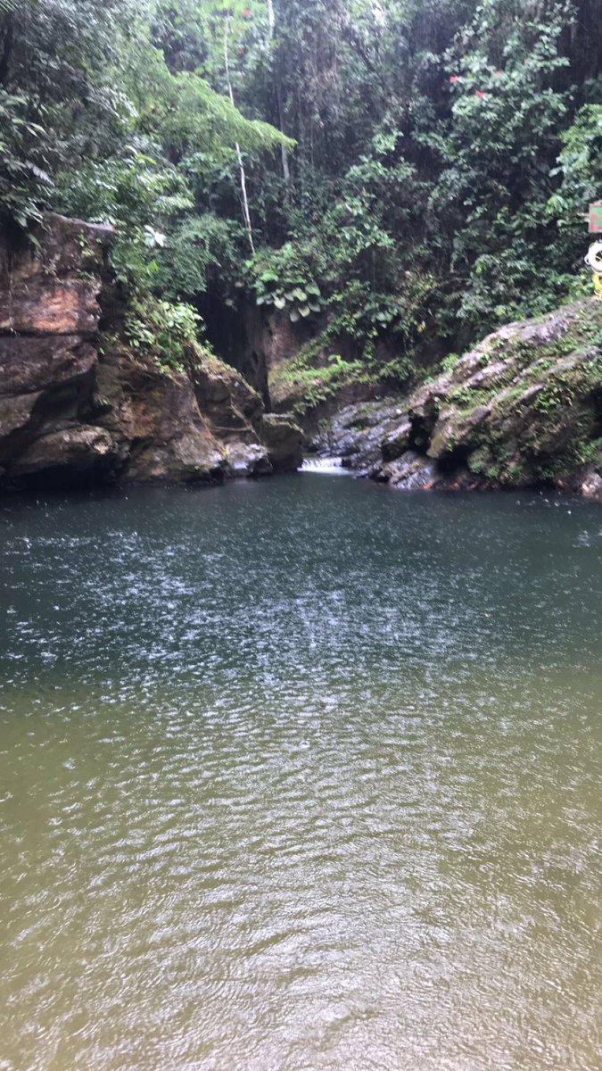 staceylalchan2's tweet photo. Beautiful ๐น๐น #3pools #trinidad
Love it โค๏ธ https://t.co/UOgM4XsxA1