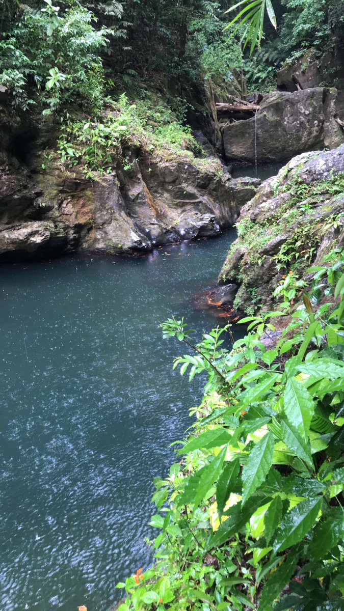 staceylalchan2's tweet photo. Beautiful ๐น๐น #3pools #trinidad
Love it โค๏ธ https://t.co/UOgM4XsxA1