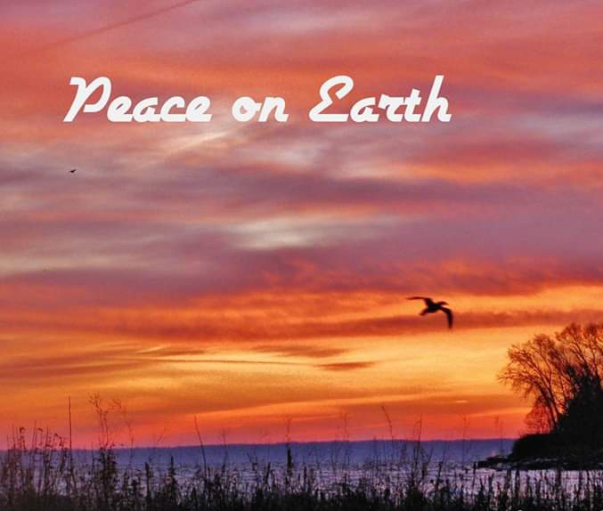 RareCat's tweet photo. The peace within becomes the harmony without.

#GoEasy 
#sunrisedaily 
#HaveAGr8Week &amp;
#HABD ☮❤ https://t.co/qfk6rCKnse