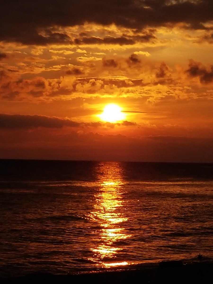 RareCat's tweet photo. The peace within becomes the harmony without.

#GoEasy 
#sunrisedaily 
#HaveAGr8Week &amp;
#HABD ☮❤ https://t.co/qfk6rCKnse