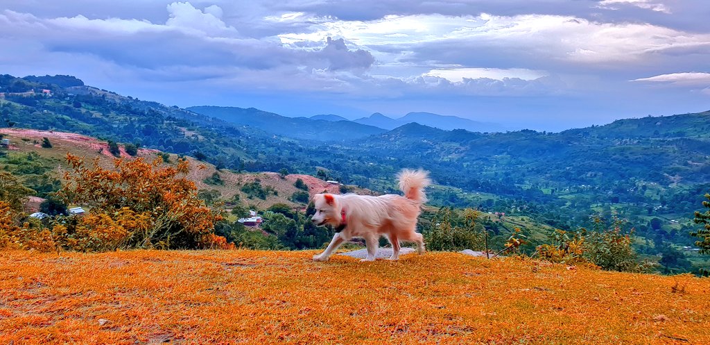 A favourite place to stopin W. Pokot is on the road between Makutano and Kamatira. The road winds dangerously as you descend but serves the most incredible views.