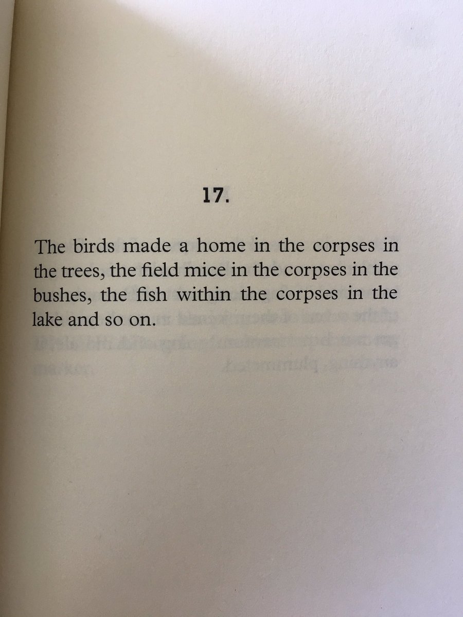 Corpses by  @VikShirley is a series of delightfully morbid vignettes, prose poems laced with irony and wit. The collection is a fairground mirror to our absurd lives.