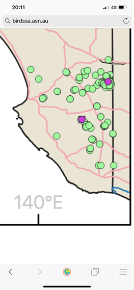 6/8: Birds SA have assembled all the data they can on the distribution of every SA species available at  https://birdssa.asn.au/birding-info/distribution-maps/maps-passerines/. It looks like black-chinned honeyeaters were across the entire region 40 years ago.
