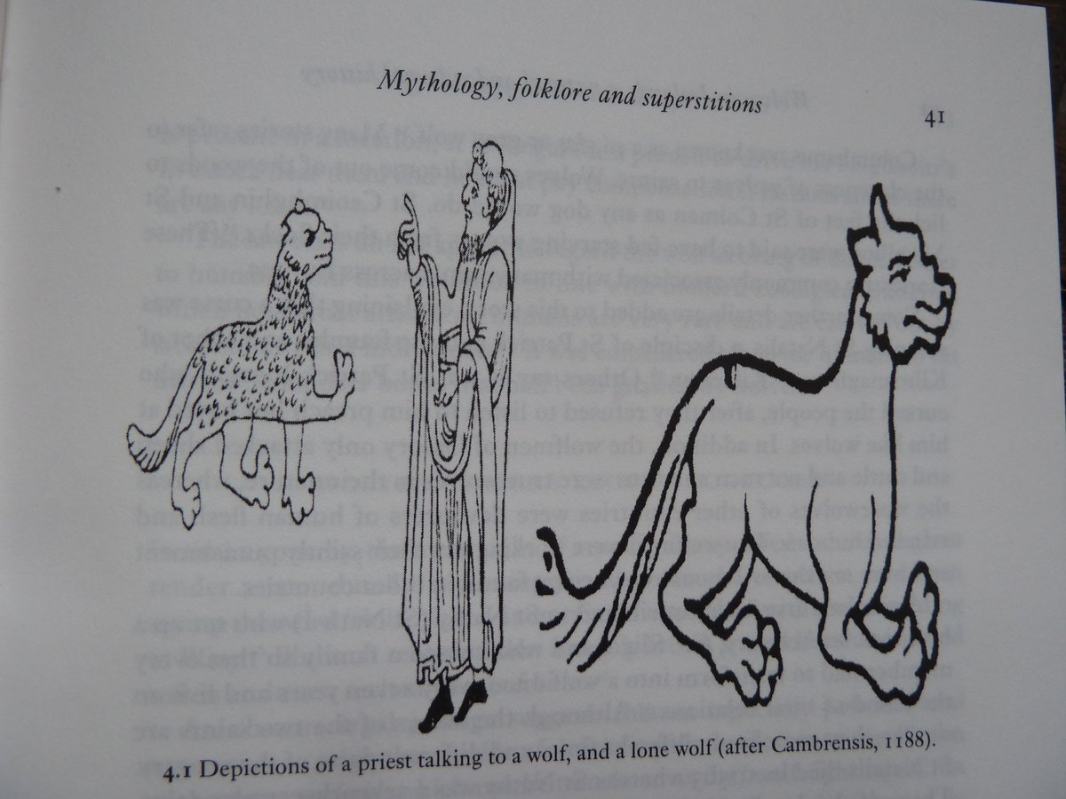 It is possible that Giraldus Cambrensis was referring to the story of a wolf speaking with a human voice after St Molaise/Laisrén died, when he mentioned the story of a wolf speaking to a priest (fig. 4.1)! ©Kieran Hickey 