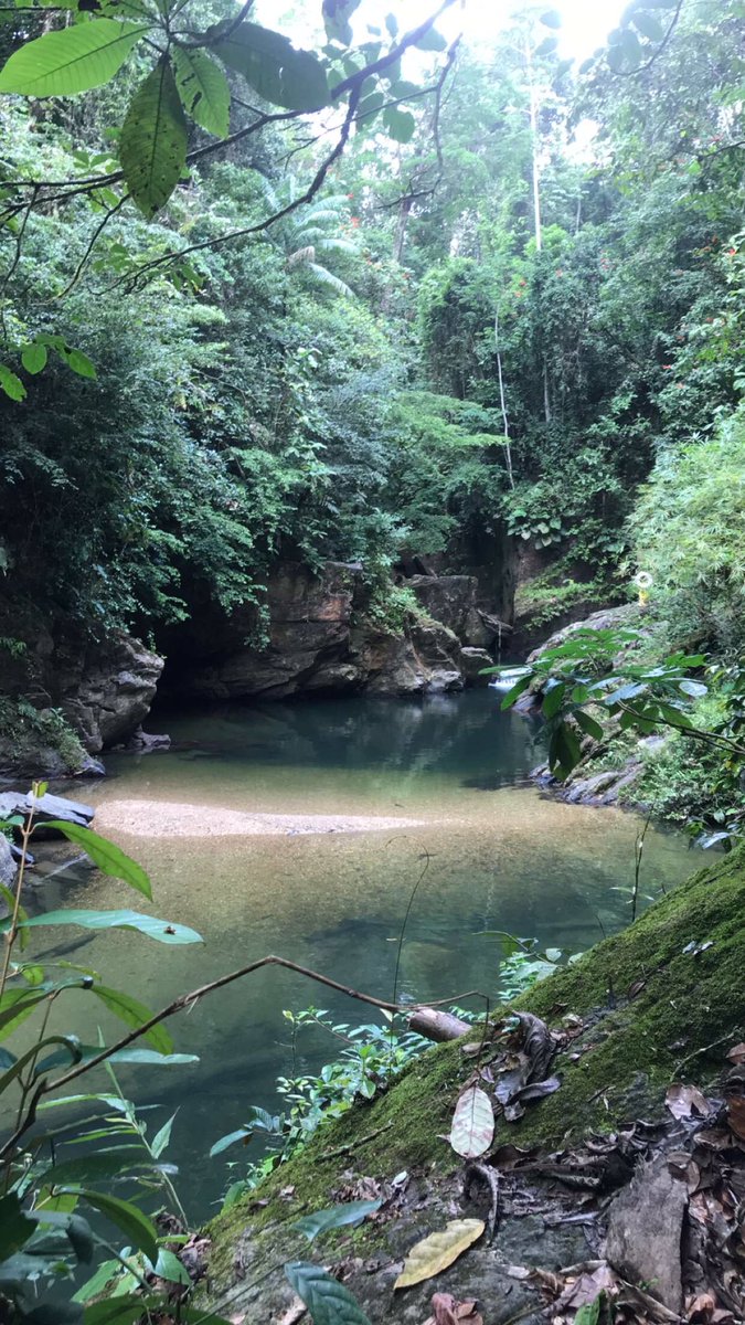 staceylalchan2's tweet photo. Hiking Adventures #3pools finally made it to the other side #trinidad ๐๐ https://t.co/iE4azbh4Ma