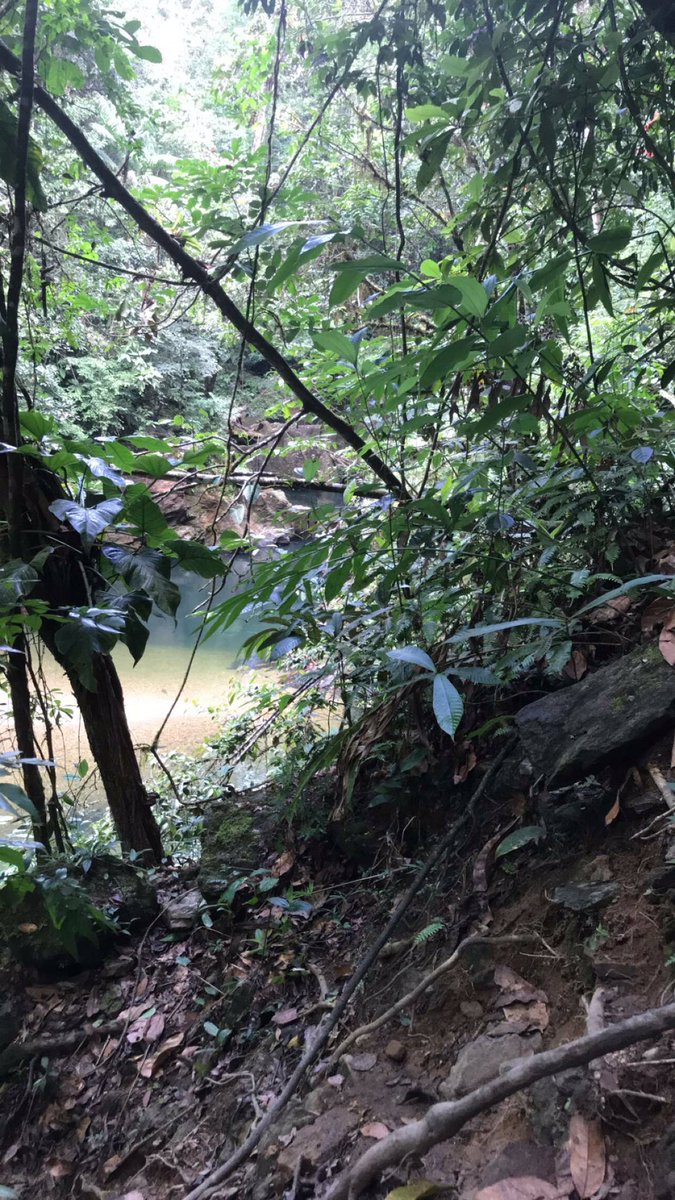 staceylalchan2's tweet photo. Hiking Adventures #3pools finally made it to the other side #trinidad ๐๐ https://t.co/iE4azbh4Ma