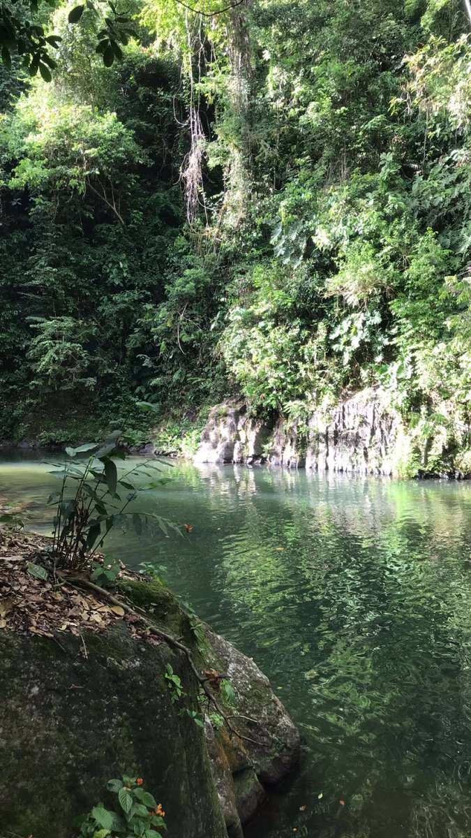 staceylalchan2's tweet photo. Hiking Adventures #3pools finally made it to the other side #trinidad ๐๐ https://t.co/iE4azbh4Ma