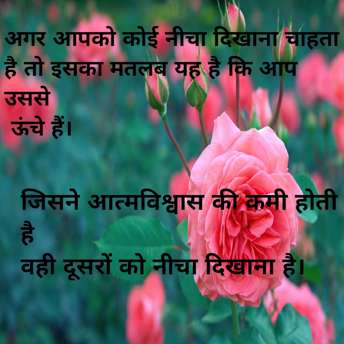 Apnichoice1's tweet photo. Hd wallpaper with msg
#FridayFeeling #COVID19 #realme6i #Subscribe #FolloForFolloBack #sub4sub 
#Amazon #AskKartik #BigBoss
#Friends #AntiHinduMedia #twitchblackout #subscribemy #Indian #IndianMatchmaking https://t.co/l48tVcYoey