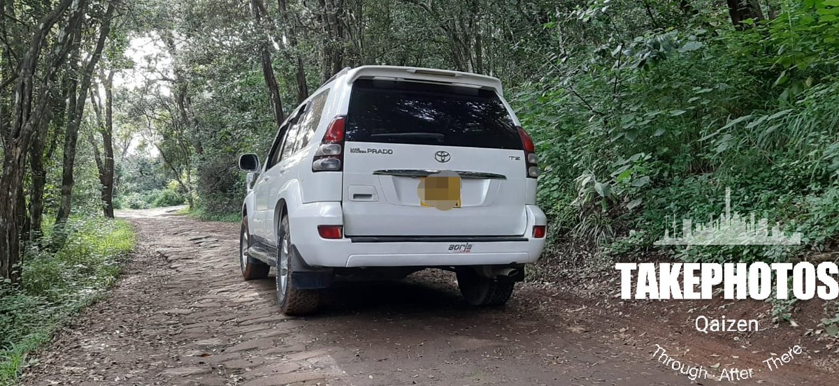 QaizenCarRental's tweet photo. A Quick Stop to make the Moss-t out of the Moss 😊😊
#KeepItQaizen #NatureTrail #weknowtheroad https://t.co/vWXdtf5K8C