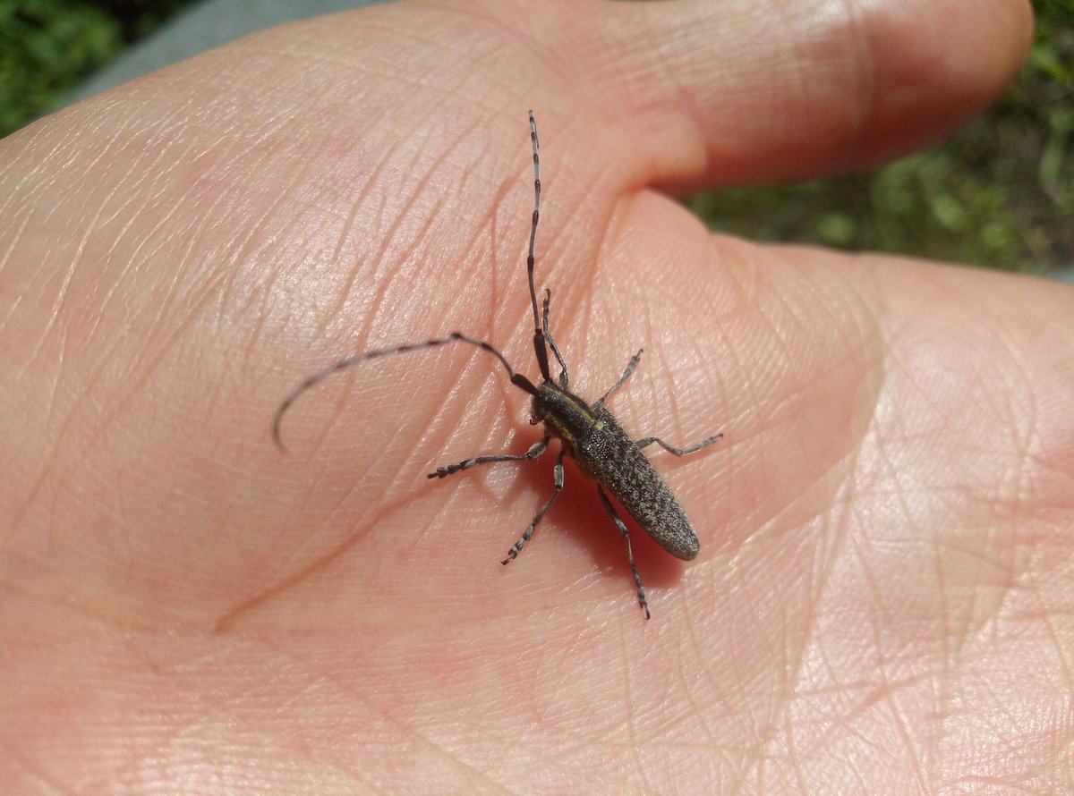 Chris Taylor tweet media