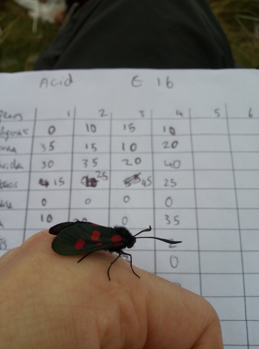 Chris Taylor tweet media