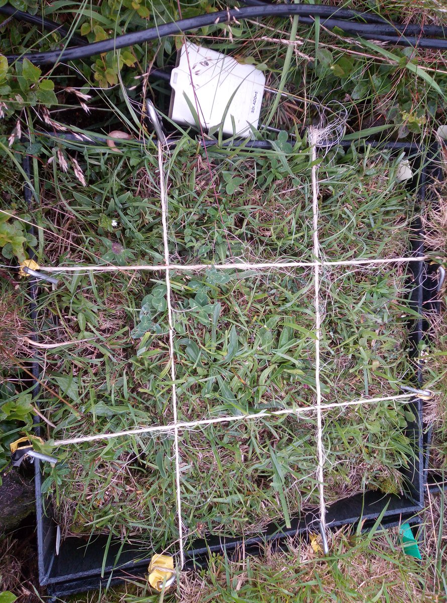 Chris Taylor tweet media