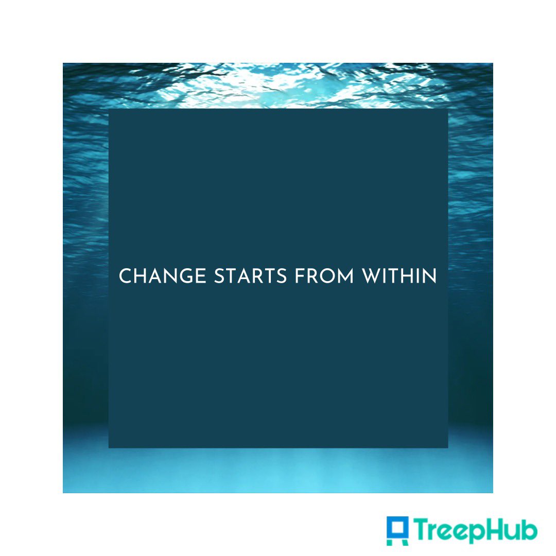 treephub tweet picture