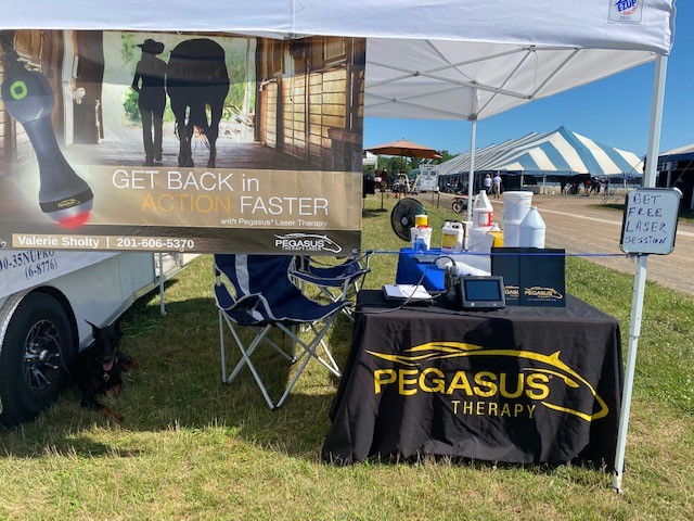 PegasusLaser's tweet photo. If you are at Princeton Show Jumping this week stop by and meet our sales rep, Valerie. She will be there through the end of this week and is available for free demos!
#showjumping #lasertherapy #equinewellness #GetBackInActionFaster #MaintainPeakPerformance https://t.co/k0S53QEQNY