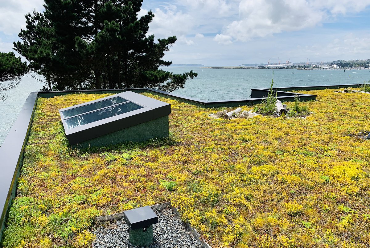 Sempergreen's tweet photo. This Sedum roof in Brest, France, is framed by the spectacular backdrop of the Atlantic Ocean. The biodiversity packages on the Sedum roof create more biodiversity, thereby also increasing the ecological value. #toitvert #biodiversité #SempergreenFrance #greenroof https://t.co/5ZX2dDqk18