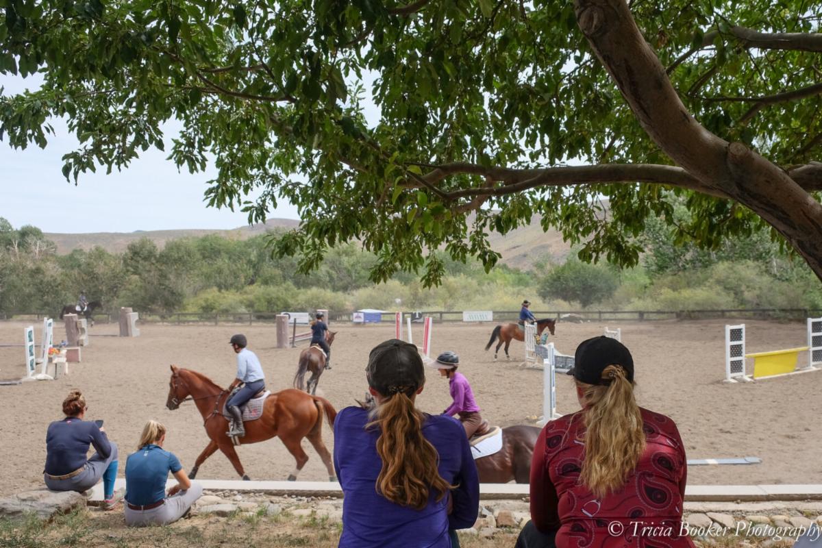 Tricia Booker tweet media