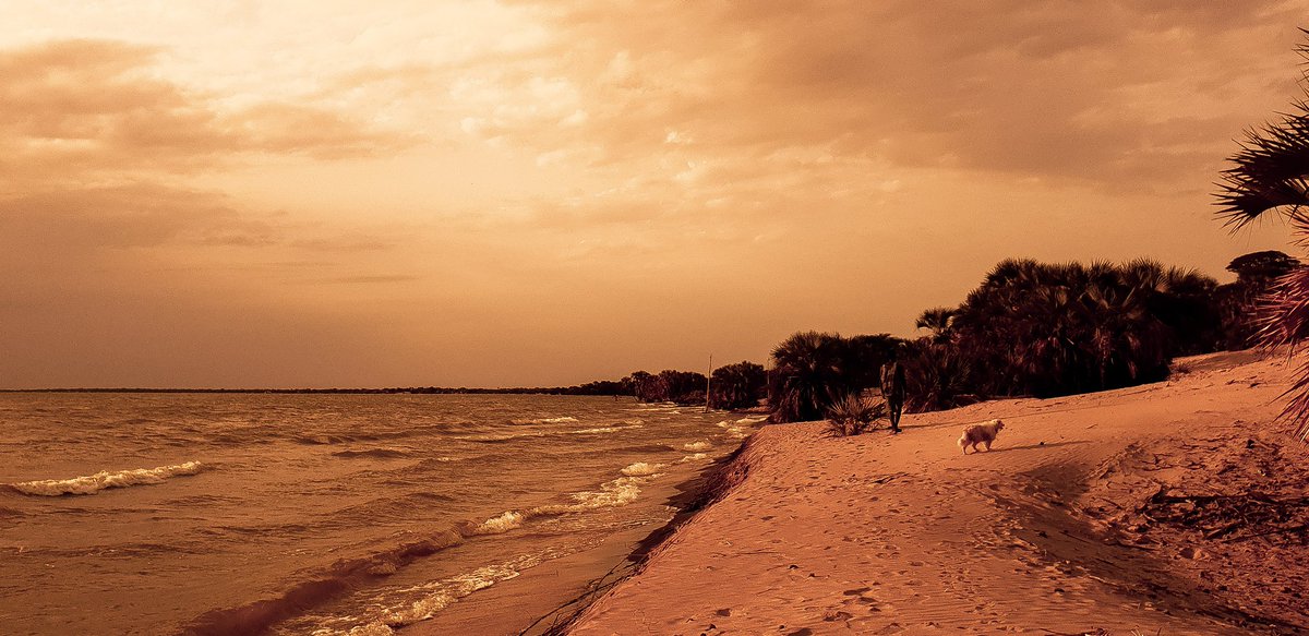 Set up camp, cooked and slept. Woke up for a morning hike along the beach, had breakfast then swam most of the day. It was HOT but the water is amazing. The wind gets crazy at night. Rates: 800/~ pp/pn but I negotiated for 500/~For other rates: http://eliyespringsresort.com/rooms/&nbsp;