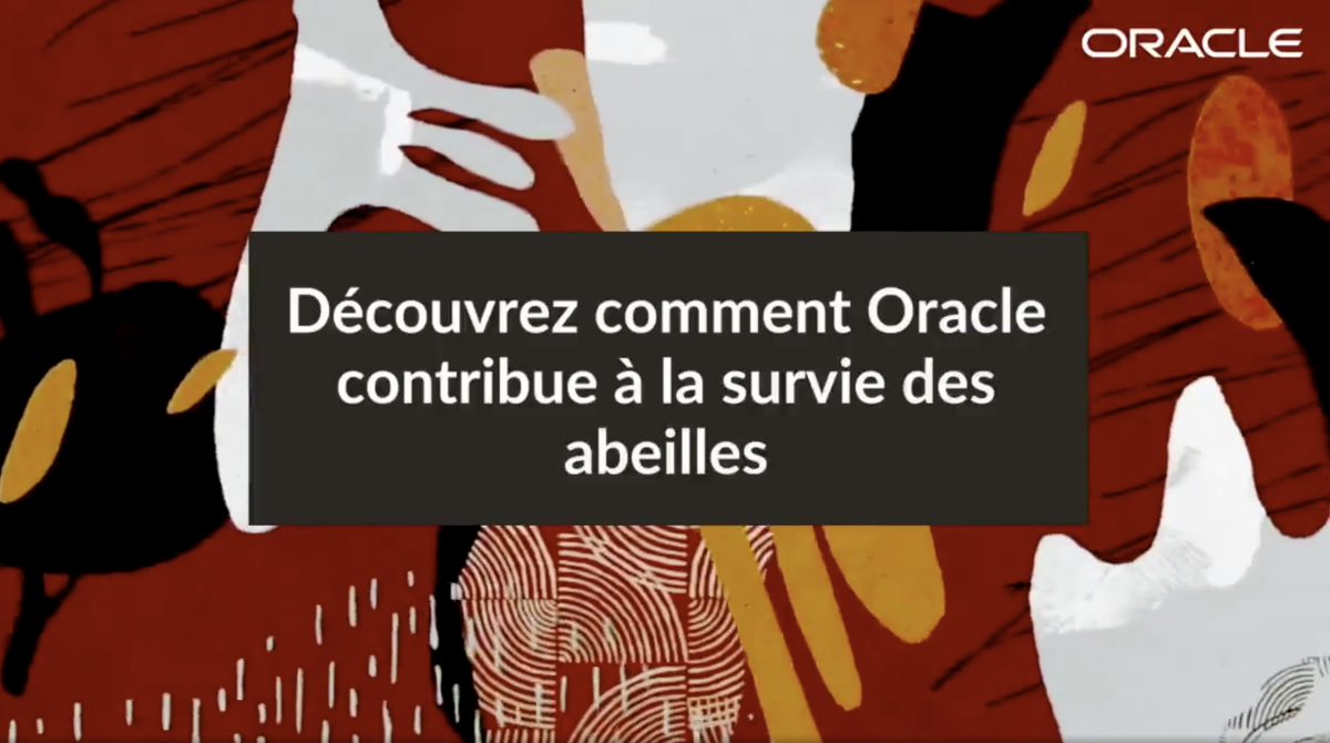 Oracle_France's tweet photo. 🎥 {REPLAY} Webinar: Comment les développements #lowcode contribuent à la survie des abeilles ?

🐝Découvrez comment les nouvelles #technologies  se mettent au service de la survie des #abeilles

📌 À voir ou revoir: https://t.co/W9VP179KVX

#Worldbeeproject https://t.co/zAEpHIrOW8