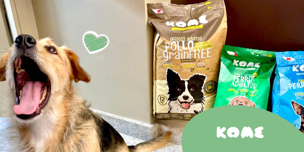 PiensosKome's tweet photo. Alguien va a darle a la muela, y lo sabe.
.
.
.
.
#kome #perros #perretes #instapet #instaperro #alimentación #alimentacionsaludable #amorperruno #peludos #amorpeludo #mascotasfelices https://t.co/St8AoUcWcn