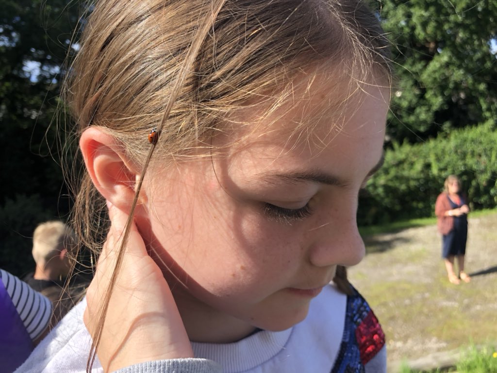 boon_mrs's tweet photo. We went on a summer scavenger hunt around the school and found so many exciting things! These included a birds nest 🦅, caterpillar eggs, a caterpillar 🐛, a grasshopper and a ladybird! 🐞 @SPSPlymouth https://t.co/QyHOAor3J1
