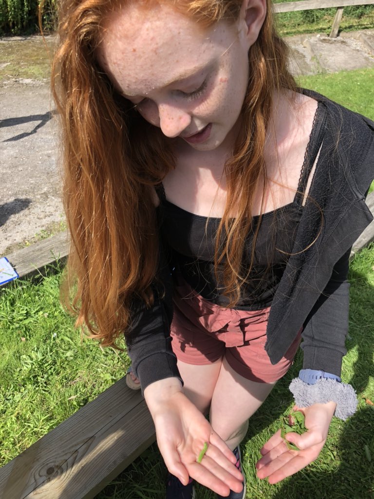 boon_mrs's tweet photo. We went on a summer scavenger hunt around the school and found so many exciting things! These included a birds nest 🦅, caterpillar eggs, a caterpillar 🐛, a grasshopper and a ladybird! 🐞 @SPSPlymouth https://t.co/QyHOAor3J1