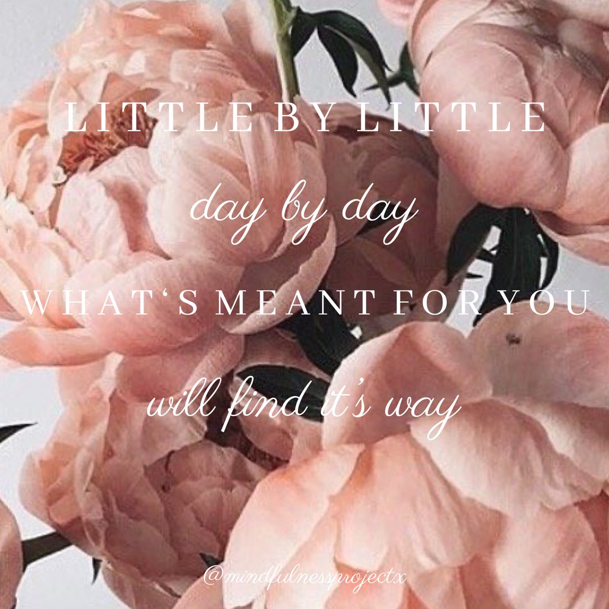 mindfulnessprx's tweet photo. • F I N D  I T ‘ S  W A Y •

If it’s meant to be, it will find it’s way to you. If it isn’t, then refocus and start again. 

#mindfulness #blog #littlebylittle #daybyday 

https://t.co/dPlQnqLgNI https://t.co/tF9F89LEm9