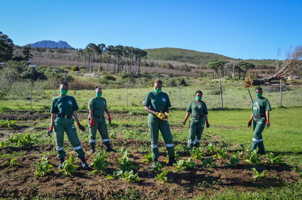 NCCEnviron's tweet photo. The #female #firefighters are back!

After various restrictions (COVID-19) we welcome back more members of Juliet Crew.

Here some are at NCC’s vegetable garden.

More pics: https://t.co/mBpWrYBBpb

Photo: Tashmeer Esack
#empowerment @ChrysalisTokai @NCCWildfires @WesternCapeGov https://t.co/6TrOPBLsoP