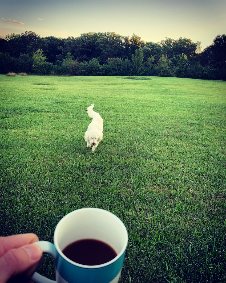 GDBJr5's tweet photo. Morning #coffee view #DamnDogs #BrewForImpact @Brace4Impact46 @Kaldis_Coffee #coffeewithaview https://t.co/vnK3nisH4h