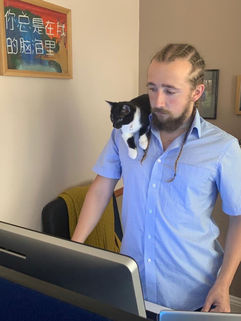 1StopDataLtd's tweet image. New office cat hasn’t got the hang of social distancing yet! Have a purrfect day #COVIDー19 #mondaythoughts