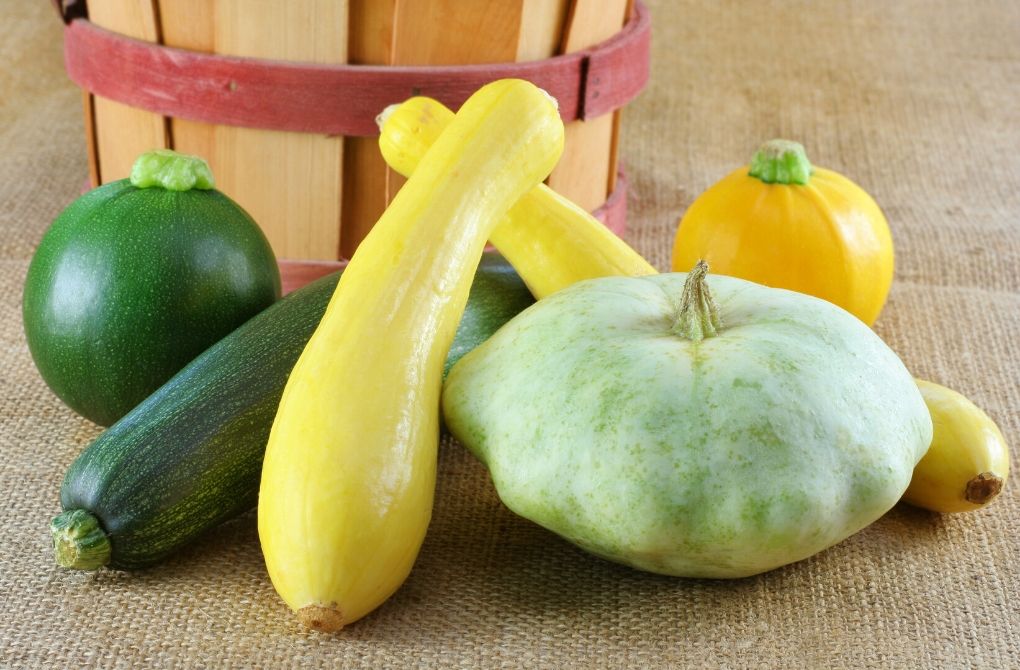 What’s your favorite summertime fruit or vegetable? All the different types of summer squash rank up there for me! 
For a look at what else is in season in each part of the U.S this week, head over to peppermint-tea.com. #healthylifestyle  #inseason #freshproduce