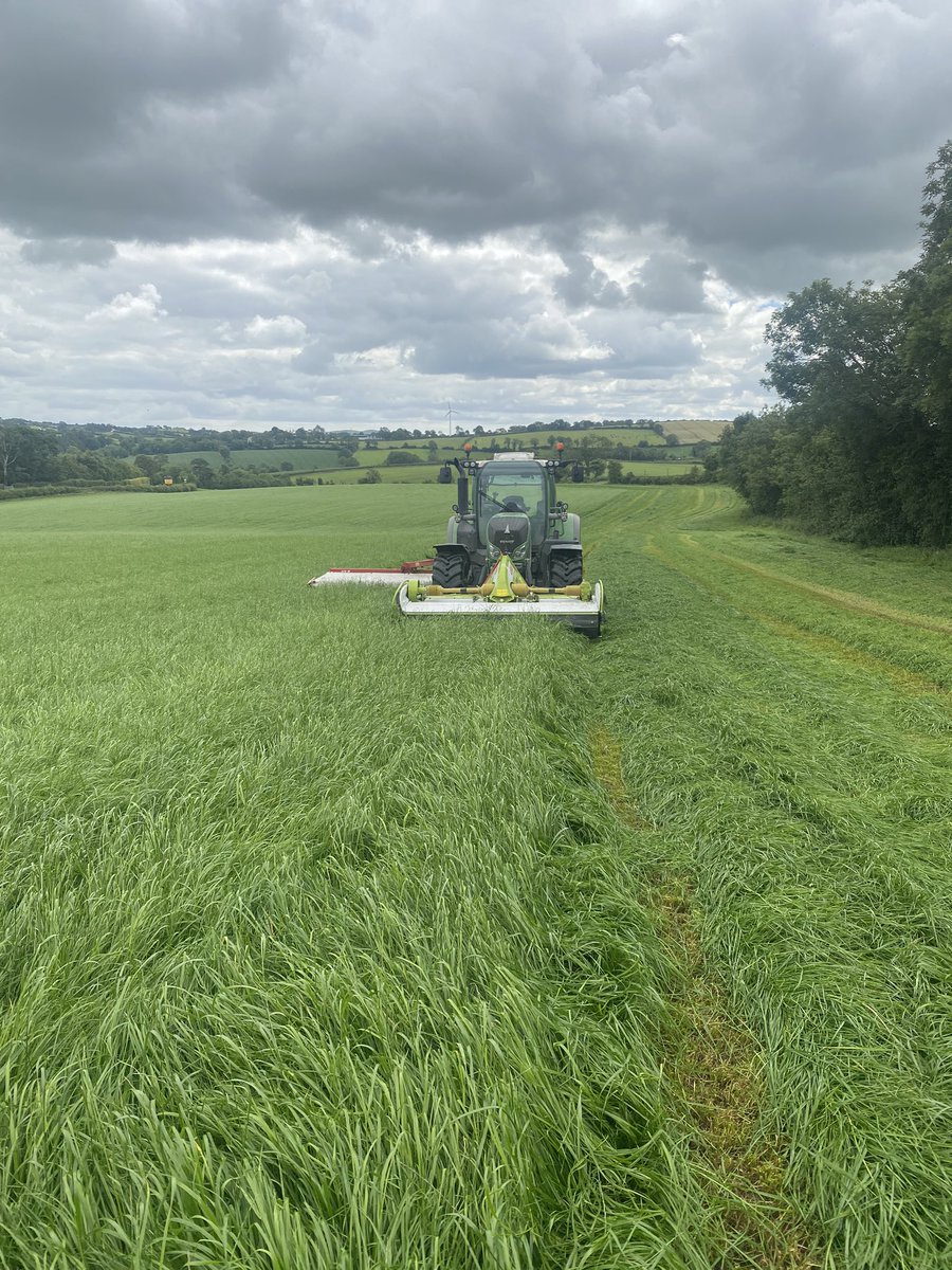Taking a bit off 4th cut today before the weather turns wet again