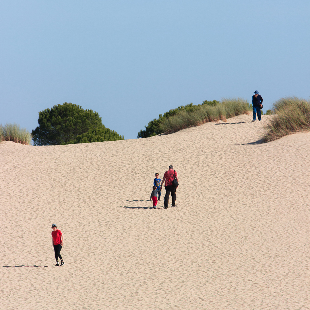 destinohuelva's tweet photo. ¿Sabías que la playa más larga de España está en #Doñana (Huelva)? Con nada más y nada menos que 2️⃣8️⃣ km de longitud, nos deja imágenes tan bellas como esta ❤️

📸 malmagrok (en Instagram)

#HuelvaElevaTusSentidos #HuelvaLaLuz #SienteHuelva https://t.co/9gd3Mg1rZh